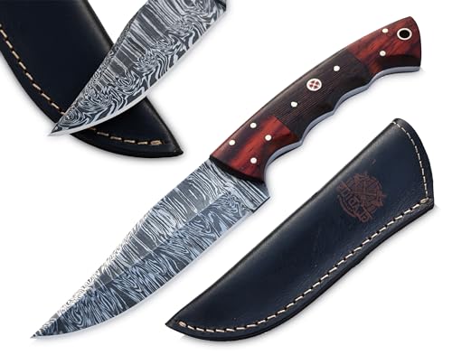 9 Inch Handmade Damascus Skinner Knife with leather sheath - EDC Full tang fixed blade with RoseWood handle - Ideal for Camping, Hunting & Skinning, and Bushcraft